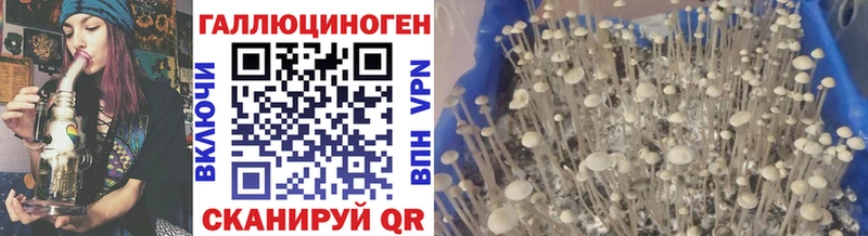 как найти наркотики  маркетплейс телеграм  Псилоцибиновые грибы ЛСД  Тейково  ОМГ ОМГ ONION 